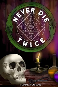 Never Die Twice cover